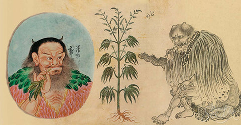 ancient china pot