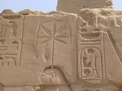 ancient egypt hemp leaf