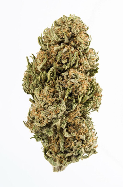energized getjointfree