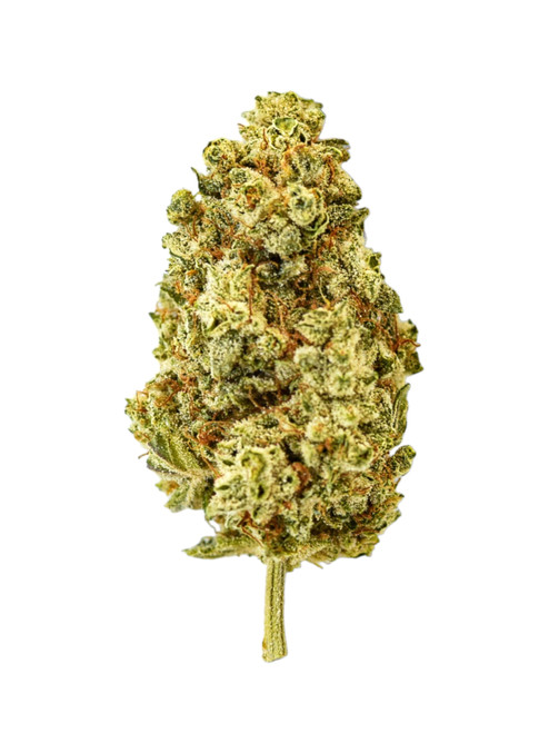 Plain Jane tightly manicured CBG Hemp Flower, Orange Sangria Indoor CBG, grown indoor