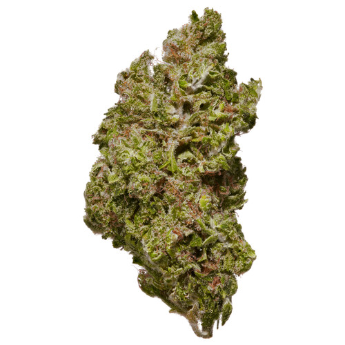 energized getjointfree