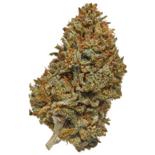 Hempress