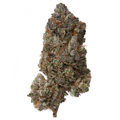 Plain Jane tightly manicured CBD Hemp Flower, Purple Kush Pop Indoor CBD flower, grown indoor