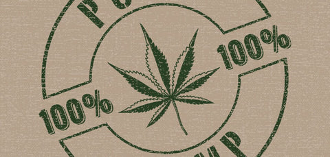 Try Plain Jane CBD products