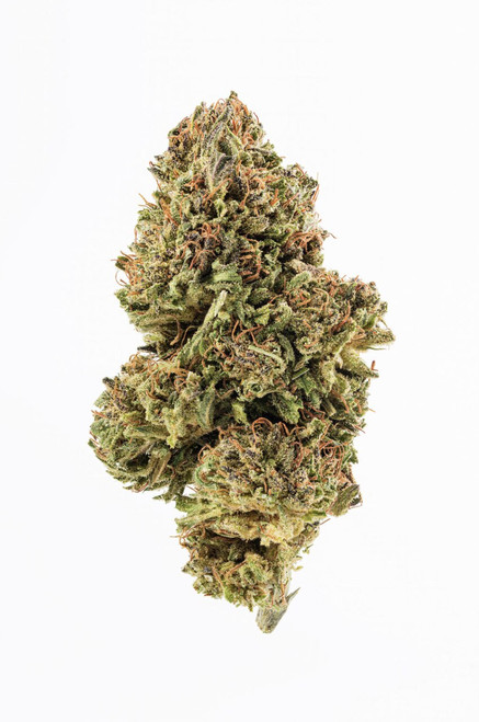 sour diesel CBD hemp flower - sungrown on white background